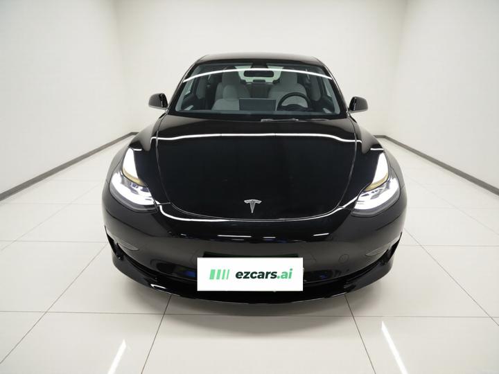 Model 3 2021 Performance AWD photo 2
