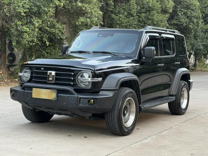 300 2023 Off-road 2.0T Conqueror