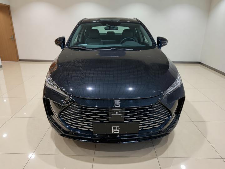 Tang EV 2024 DM-p photo 2