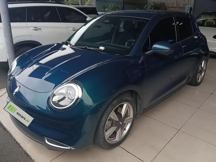 Good Cat 2022 400km Standard Range Premium LFP