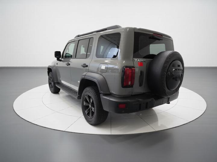 300 2021 Off-road 2.0T photo 4