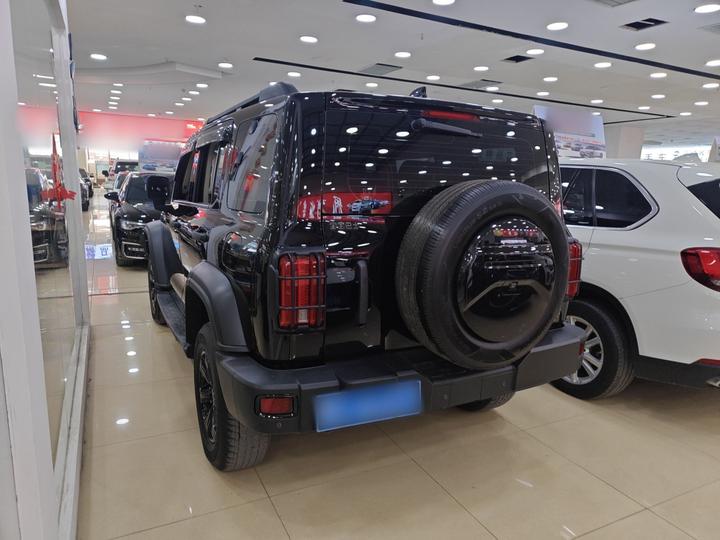300 2023 Off-road 2.0T Conqueror photo 6