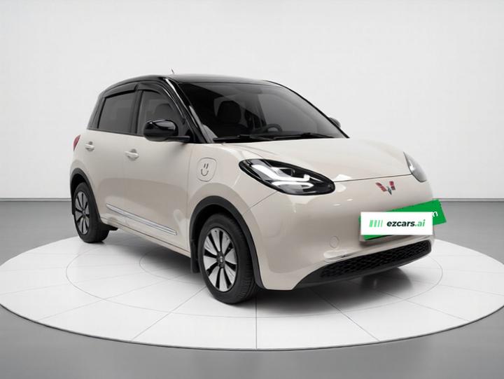 Wuling Bingo 2023 410km Exclusive photo 3