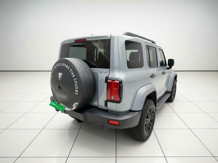 300 2021 Off-road 2.0T photo 6