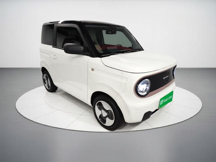 2023 Panda mini photo 3
