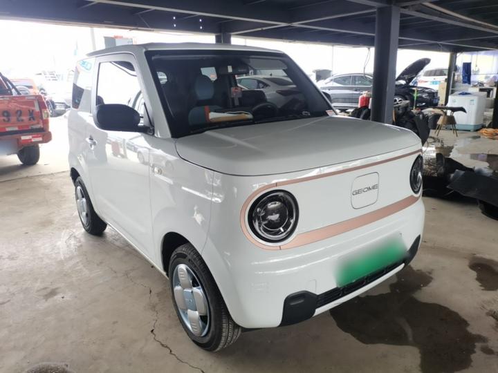 2024 Panda mini 200km Endurance Bear photo 3