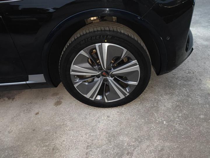E-HS9 2021 460km 6-Seater photo 8