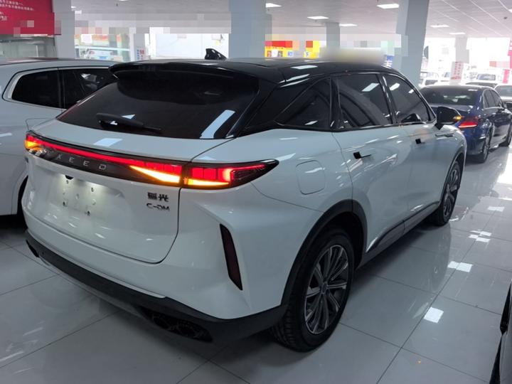 Yaoguang C-DM 2026 120 Long Range RWD photo 4