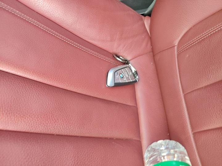 5 Series 2019 530Li Leading M Sport Package photo 8