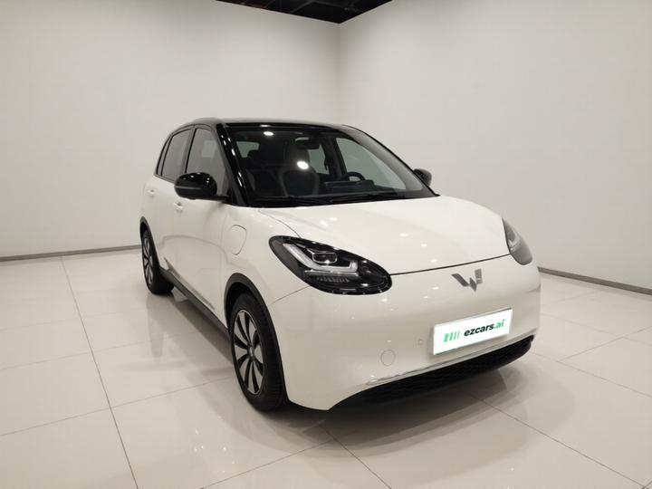 Wuling Bingo 2024 333km photo 3