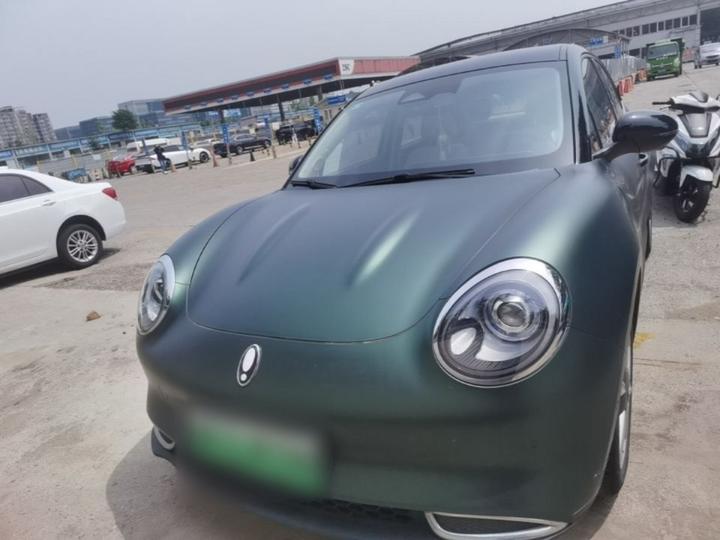 Good Cat 2021 400km Standard Range LFP photo 2