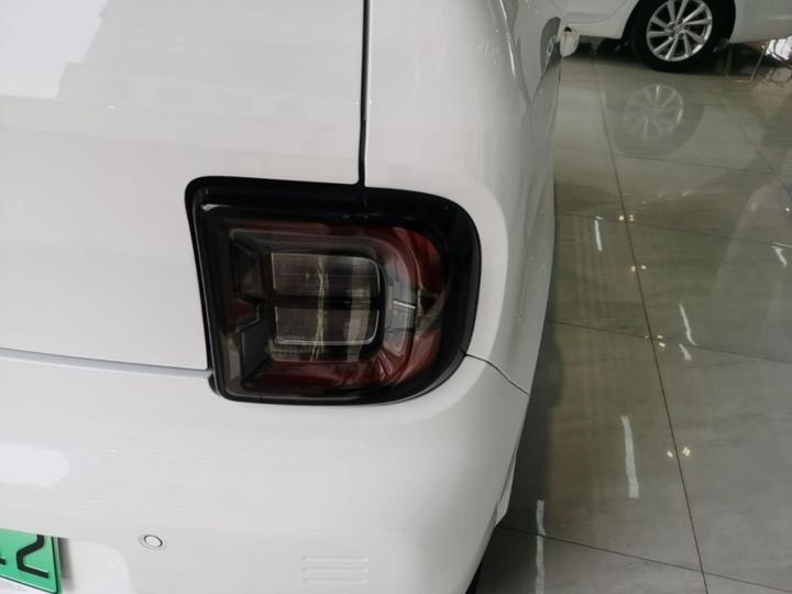 2023 Panda mini 200km Endurance Bear photo 7