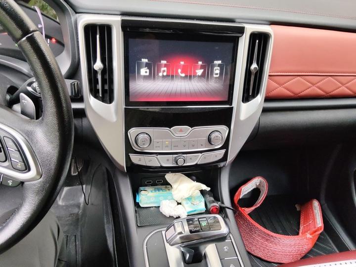2020 2.0T Off-road AT Petrol AWD GW4C20B photo 5