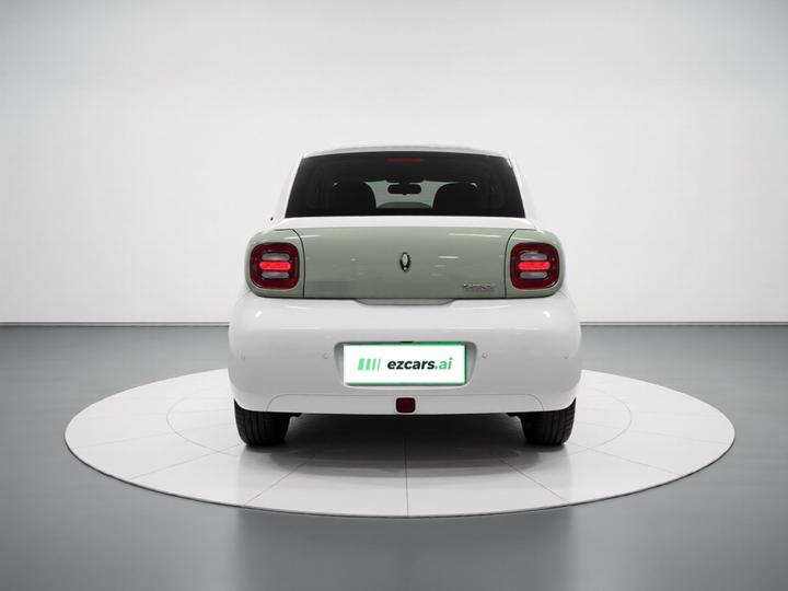 2021 351km Luxury photo 5
