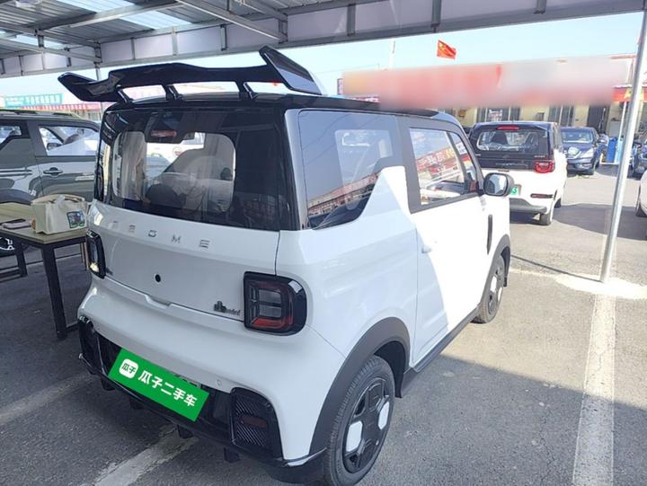 2025 210km Panda photo 4