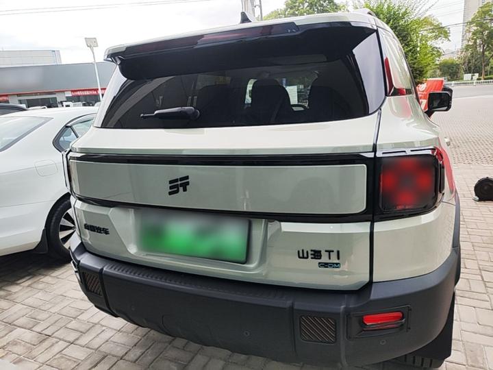 Shanhai T1 2024 150km photo 3