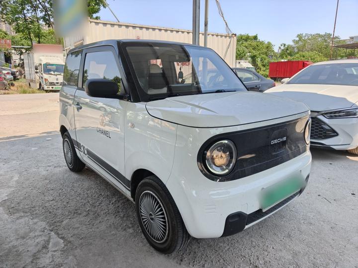 2024 Panda mini 200km Endurance Bear photo 3