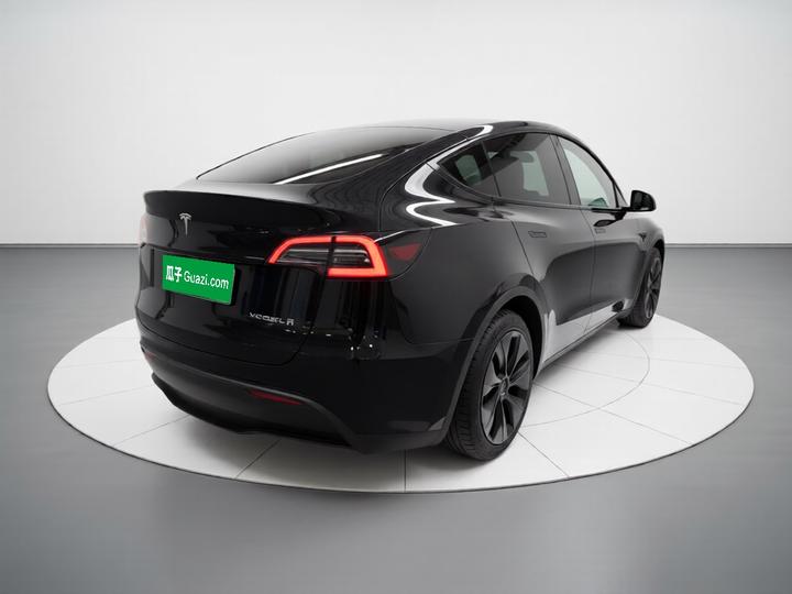 Model Y 2021 Long Range AWD photo 6