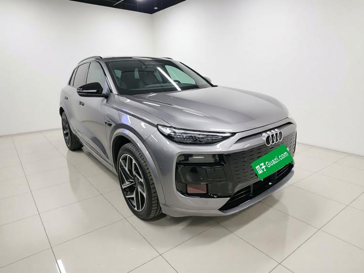 Q6L e-tron 2026 Pilot photo 3