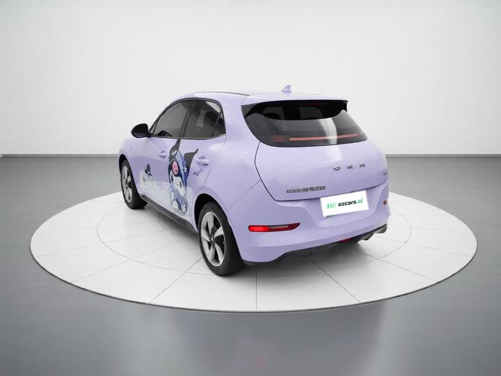Good Cat 2022 400km Standard Range Premium LFP photo 4