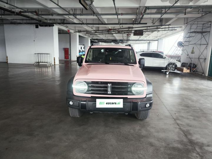 300 2021 Off-road 2.0T photo 2