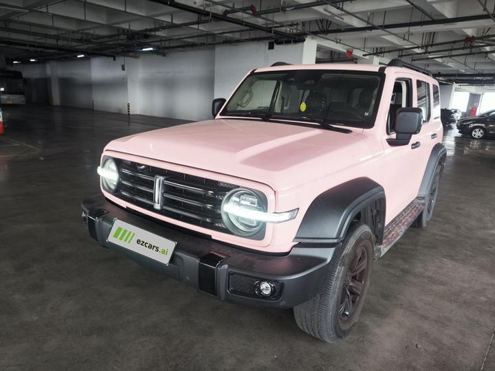 300 2021 Off-road 2.0T