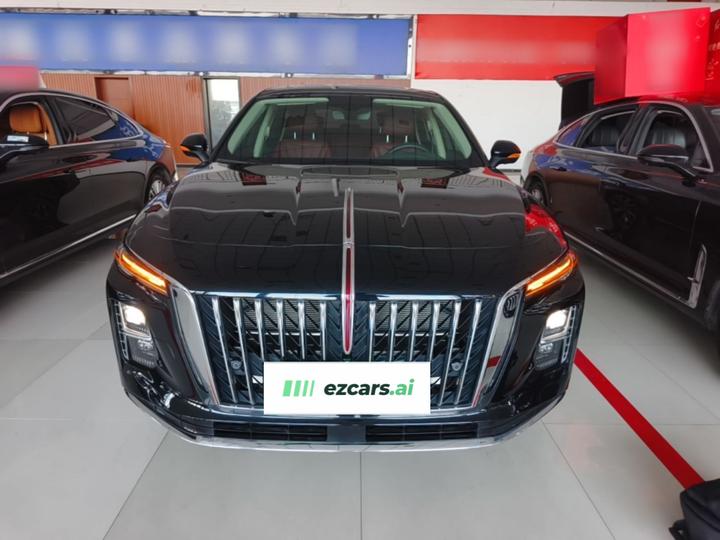 H5 PHEV 2025 130 photo 2