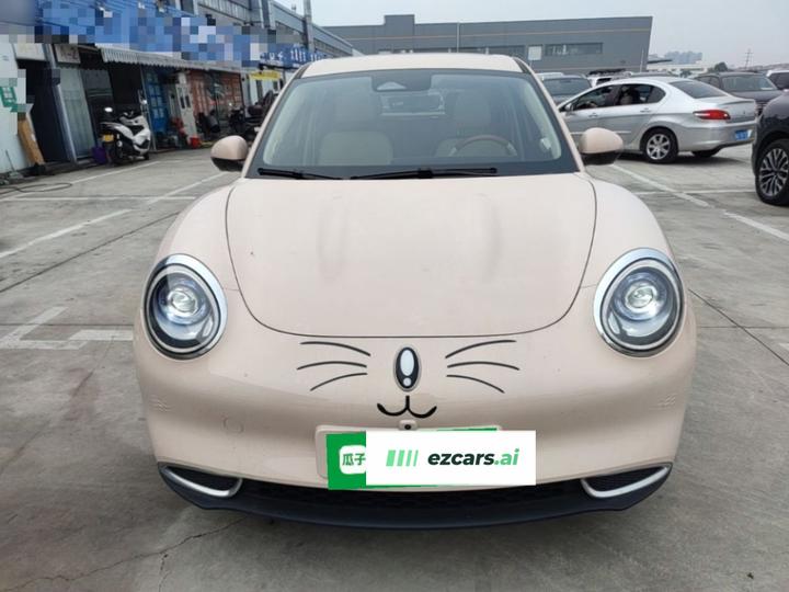 Good Cat 2023 401km Standard Range Noble LFP photo 2