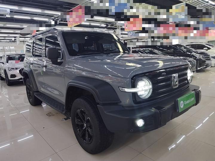 300 2021 Off-road 2.0T photo 3