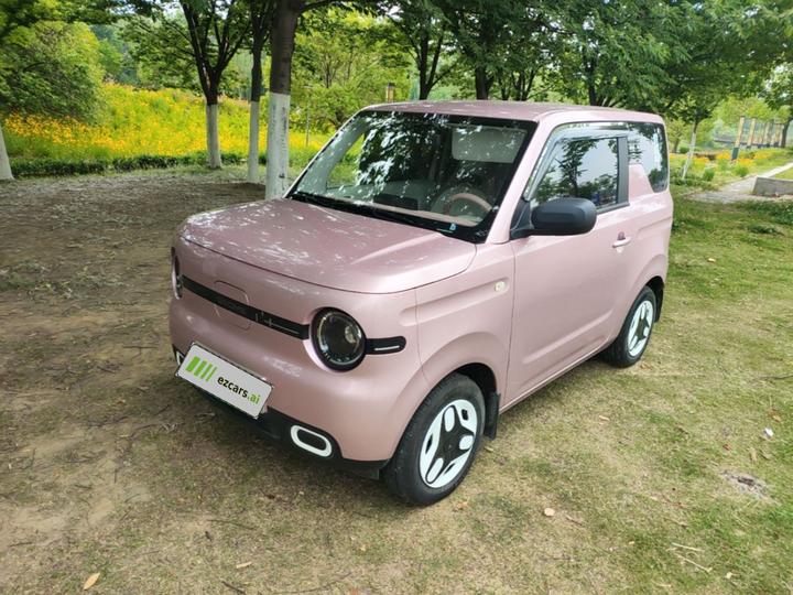 2025 Panda mini 210km Yuan