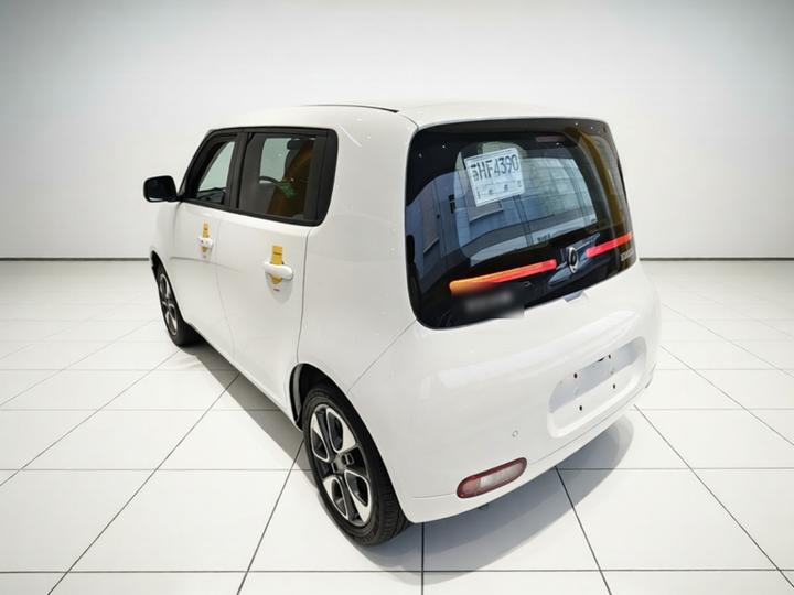2020 305km Luxury photo 4