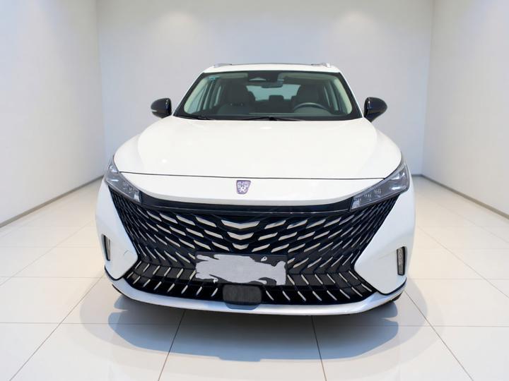 RX5 EV 2023 eRX5 photo 2