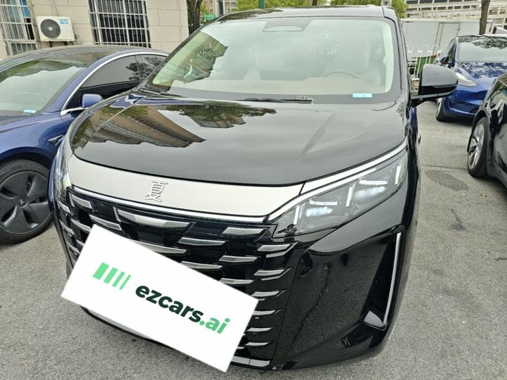 2025 DM-i 1.5T 180km photo 2