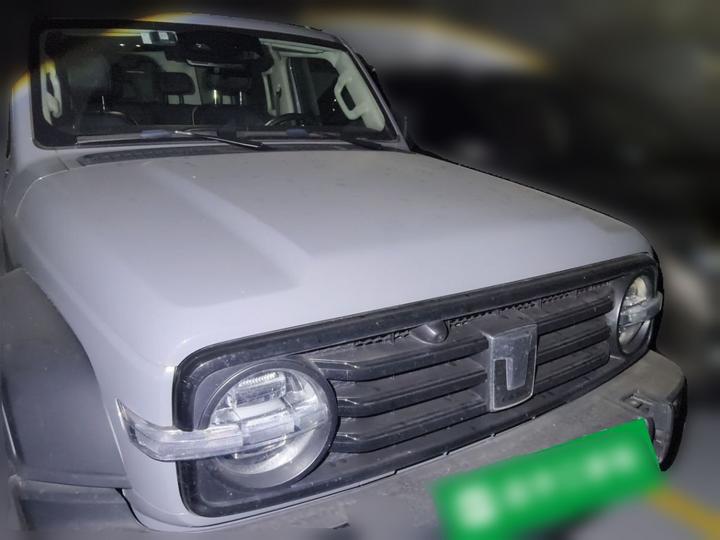 300 2021 Off-road 2.0T photo 3