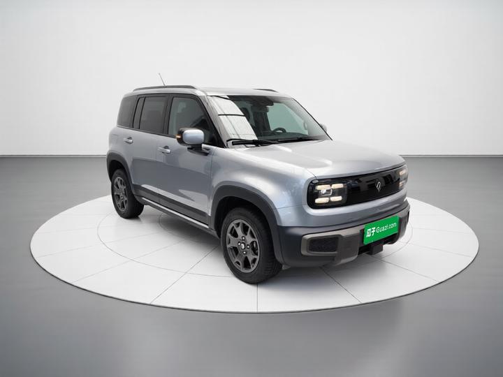 Plus 2026 301km Flagship photo 3