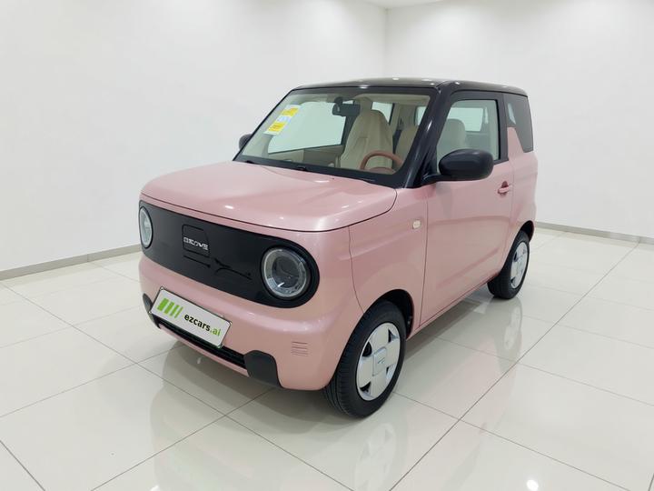 2024 Panda mini 200km Endurance Bear