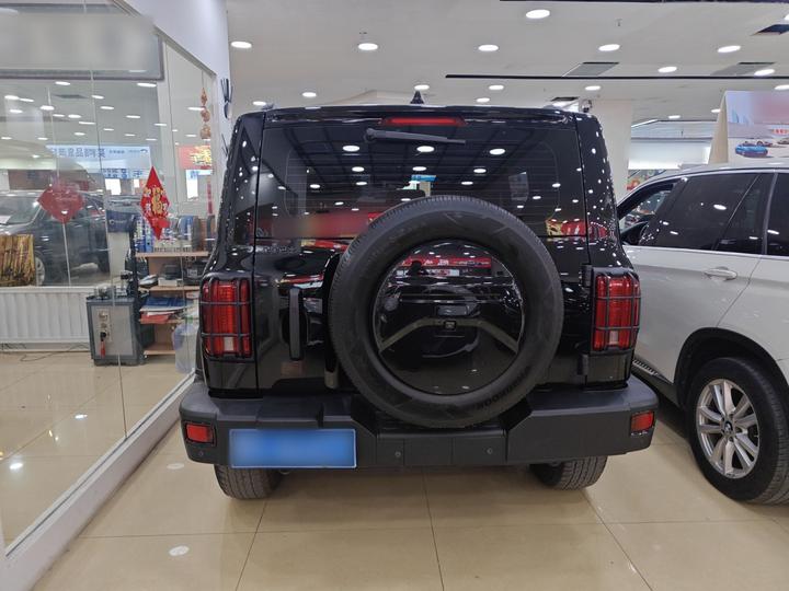 300 2023 Off-road 2.0T Conqueror photo 5