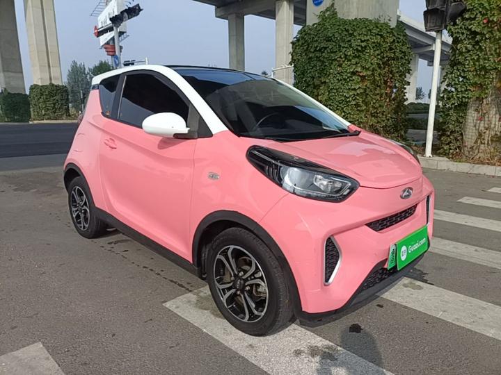 QQ Little Ant 2021 20 NCM 301km photo 3