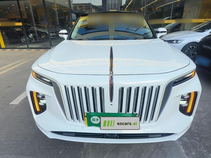 E-HS9 2022 690km 6-Seater photo 2