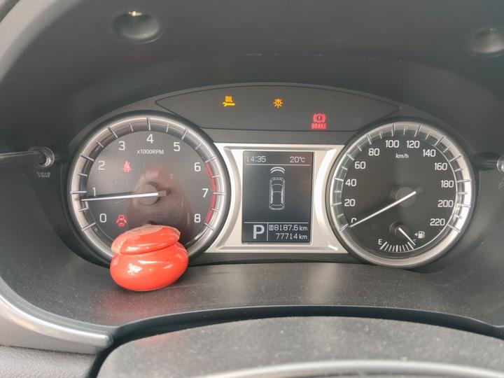 Vitara 2016 1.4T AT RWD Luxury photo 8