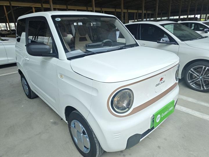 2024 Panda mini 200km Endurance Bear photo 3
