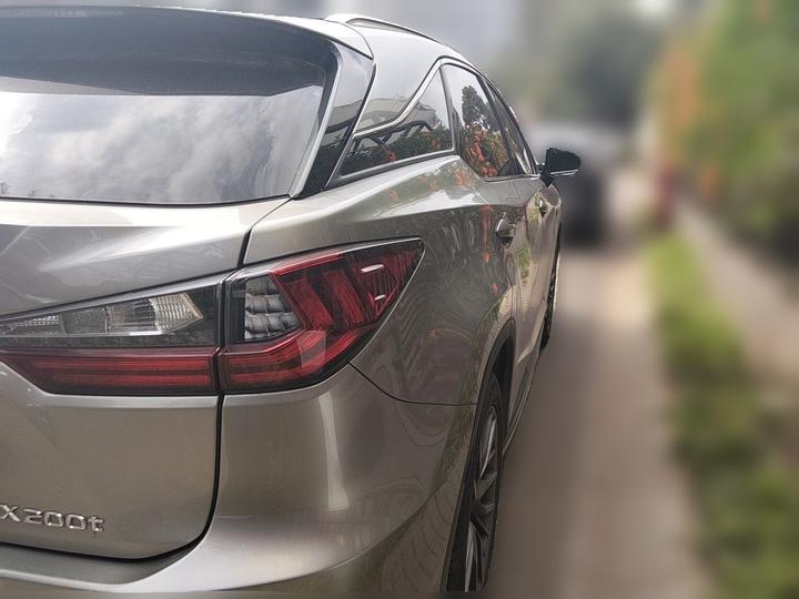 RX 2016 300 AWD F SPORT China V photo 6