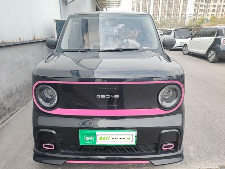 2025 210km Panda photo 2