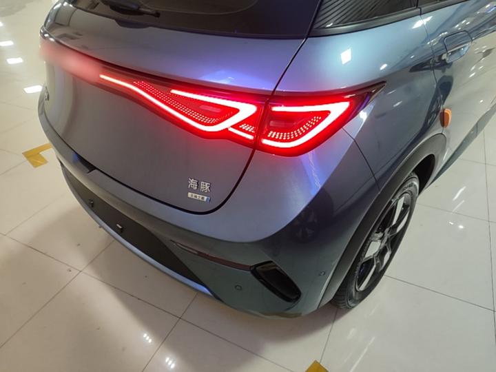 Dolphin 2025 ADAS 410km Fashion photo 7