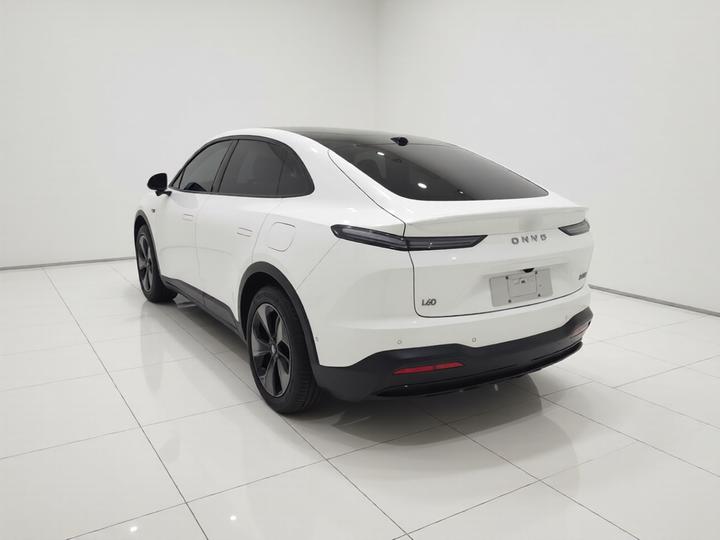 L60 2024 60kWh RWD photo 4