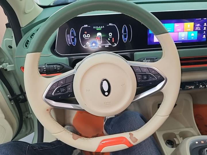 Good Cat 2022 400km Standard Range Luxury LFP photo 6