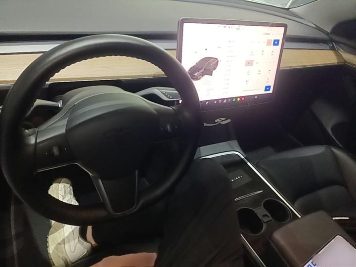 Model 3 2022 Performance AWD photo 2