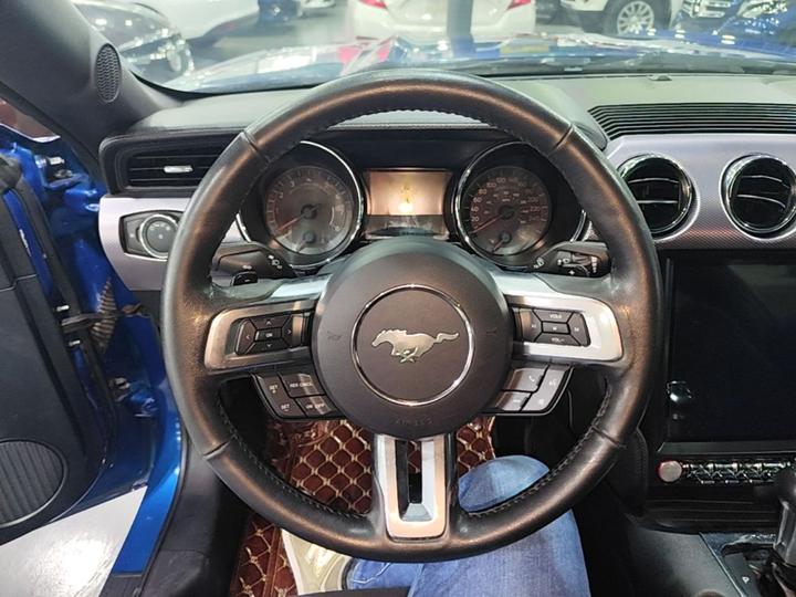Mustang Parallel Import photo 2
