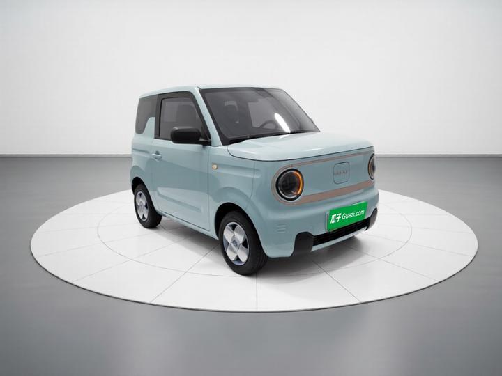 2023 Panda mini 200km Endurance Bear photo 3