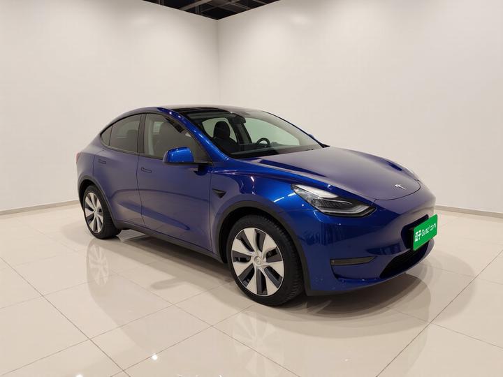 Model Y 2021 Long Range AWD 3D7 photo 3